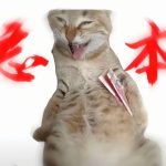 阿陌-神灵网